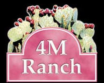 4M Ranch