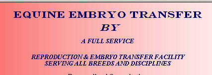 Equine Embryo Transfer Cutting Horses