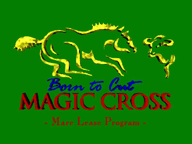 Magic Cross Cutting Horses
