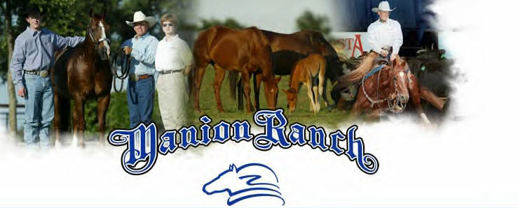 manion ranch cutting horses