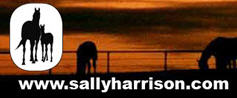 Sally Harrison Blog