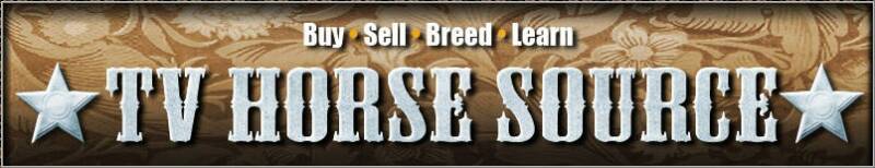 tv horse source