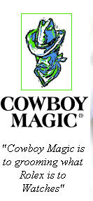 Cowboy Magic Cutting Horses