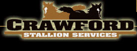 Crawford Cutting Horse Stallion Services