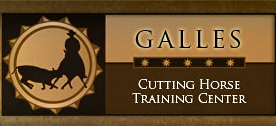 Galles Cutting Clinics
