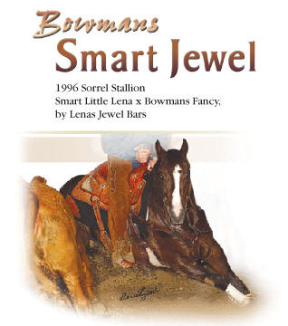 Bowmans Smart Jewel Cutting Horse Stallion