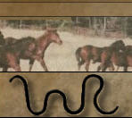 Johnny Walker Ranch Cutting Horse Stallion