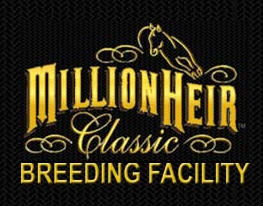 Millionheir Classic Cutting Horses