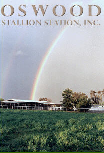 Oswood Cutting Horse Stallion Station