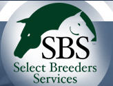 Select Breeders Servicess Cutting Horse