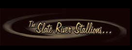 Slate River Ranch Cutting Horse Stallions