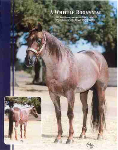 A Whittle Boonsmal Cutting Stallion