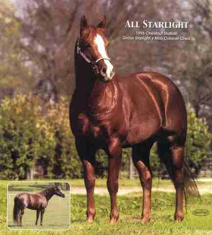 All Starlight Cutting Horse Stallion