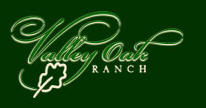Valley Oak Ranch cutting Horses