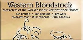 Western Bloodstock Cutting Horse for Sale